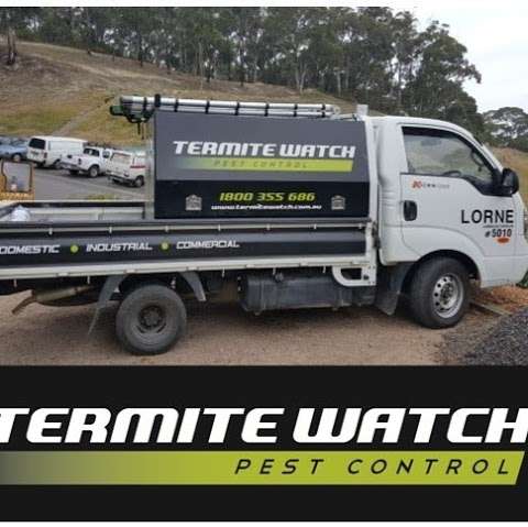 Photo: Termite Watch